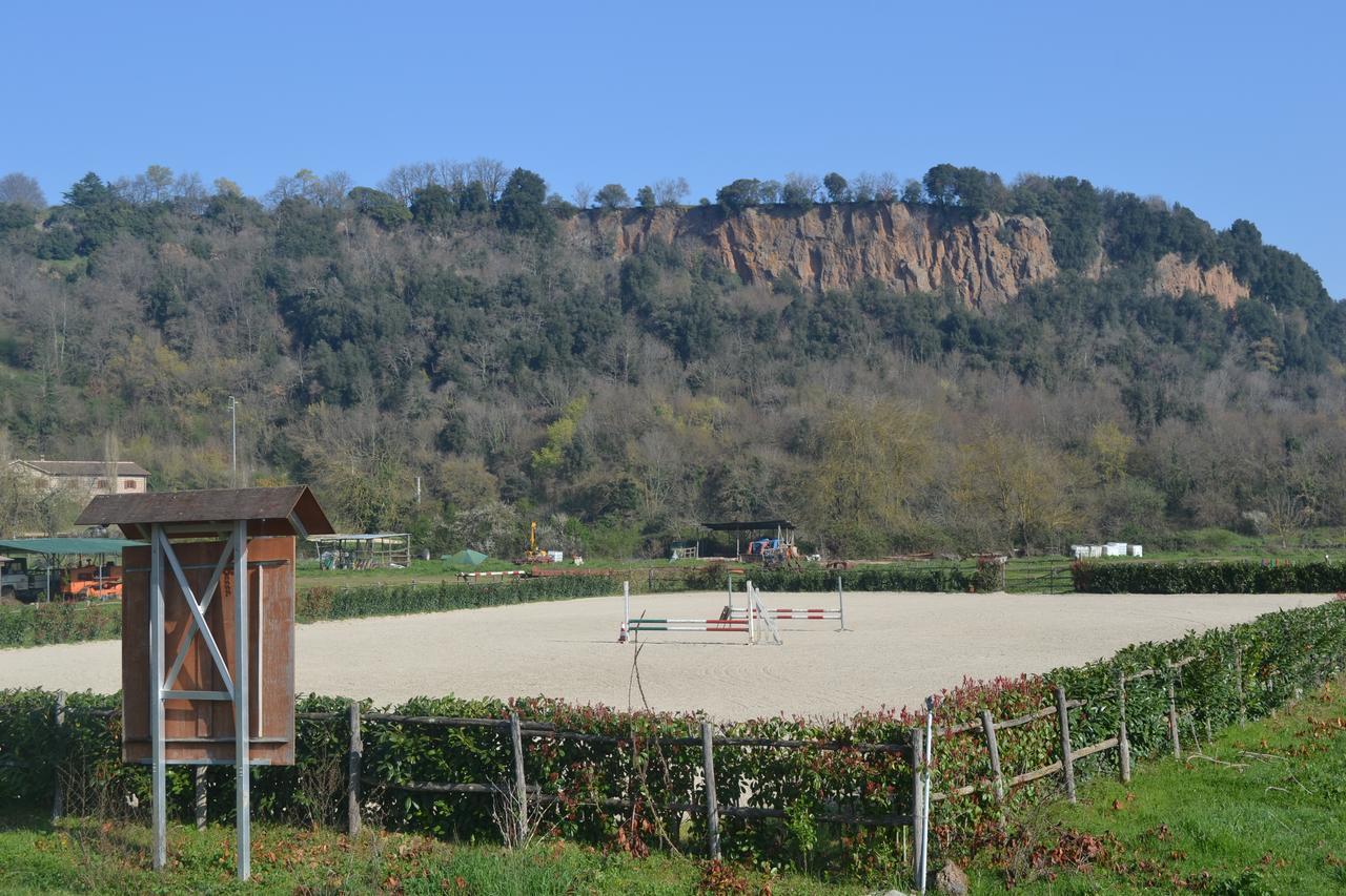 Villa Agriturismo Le Forre Del Treja Civita Castellana Exterior foto