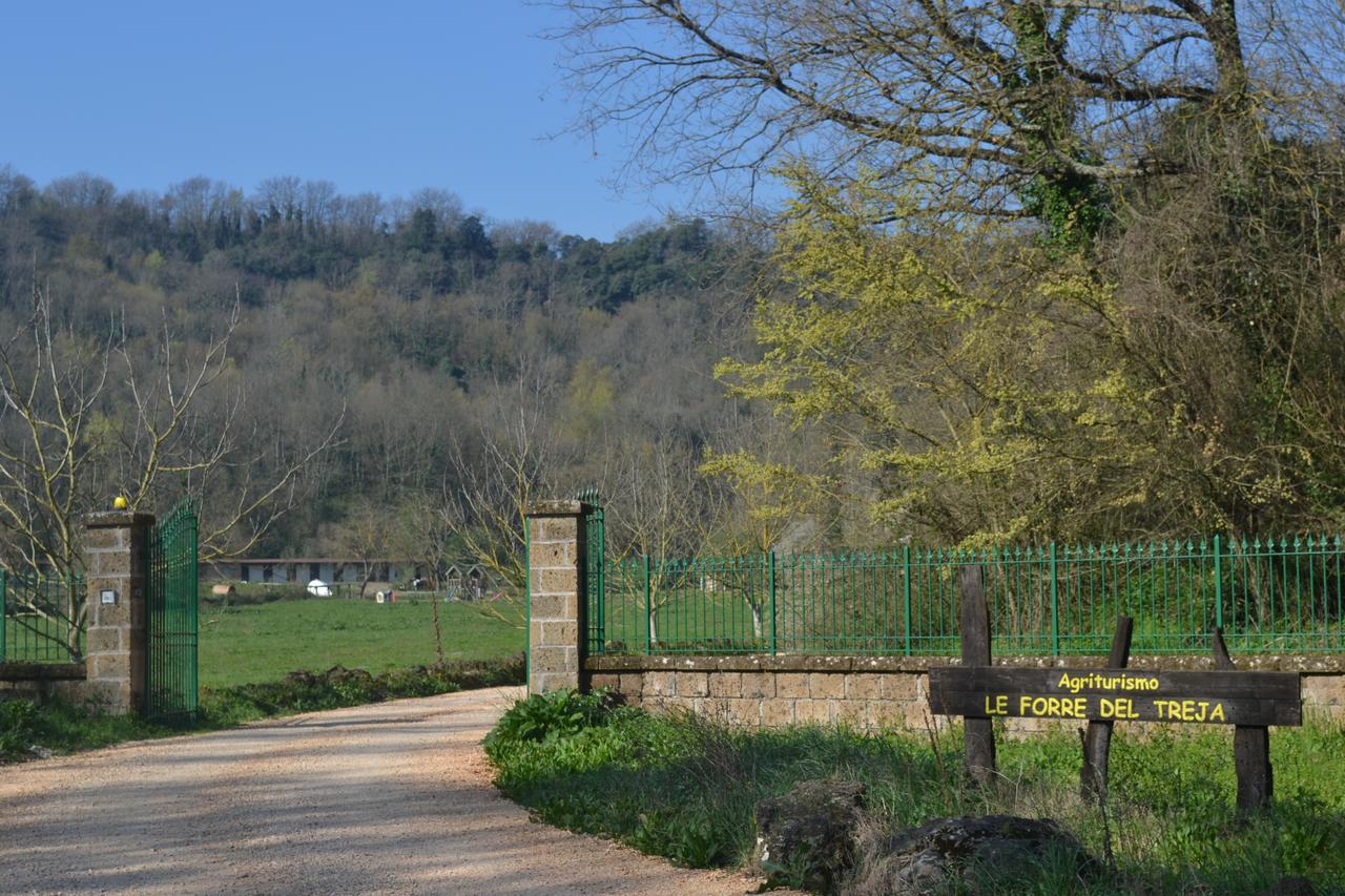 Villa Agriturismo Le Forre Del Treja Civita Castellana Exterior foto