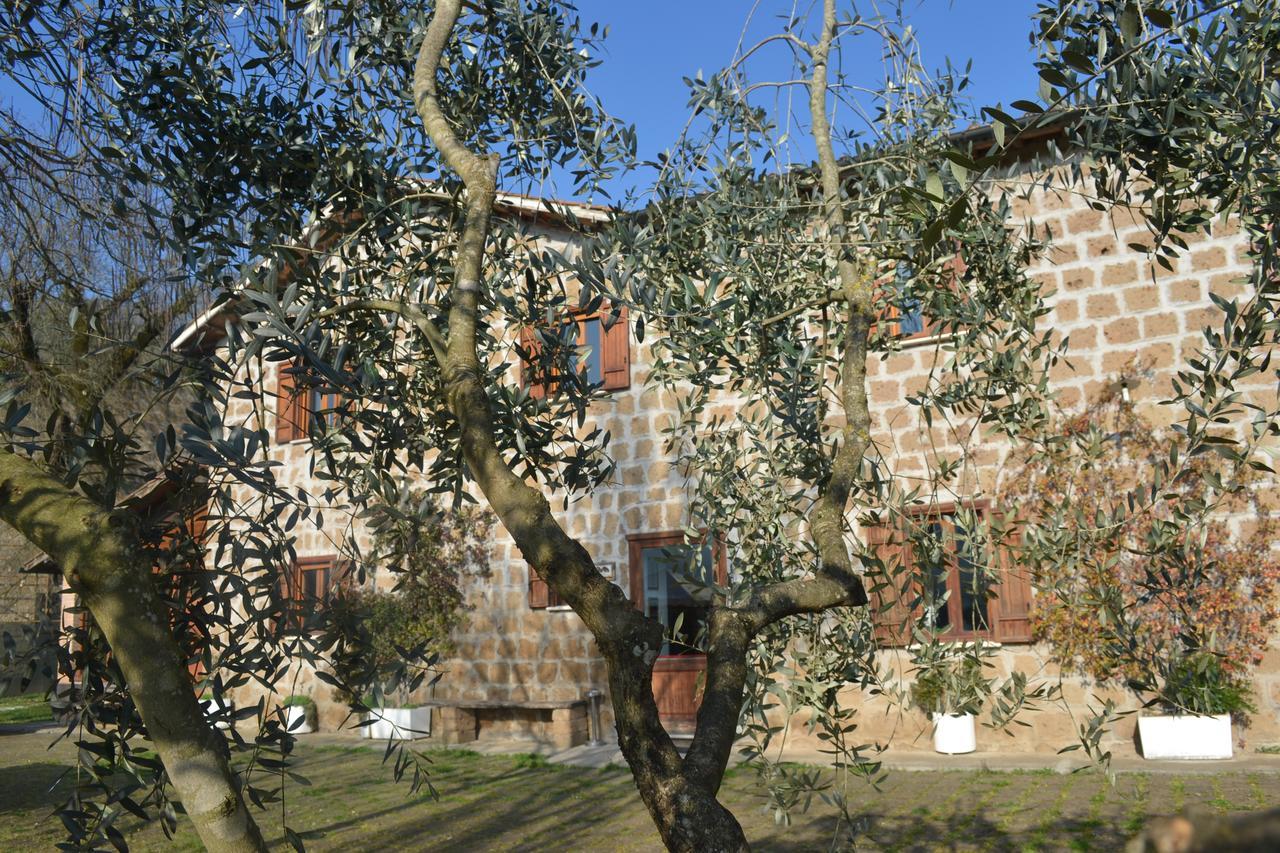 Villa Agriturismo Le Forre Del Treja Civita Castellana Exterior foto